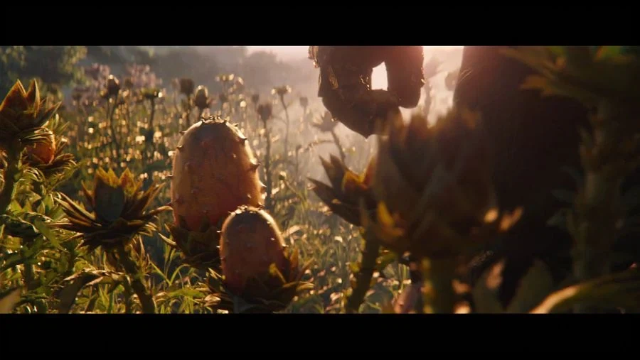 한국인들이 유독 안타까워한다는 장면 특징_3.webp