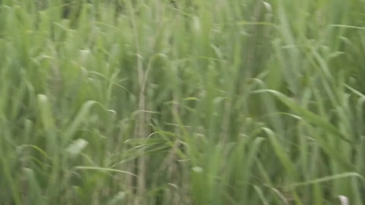 [가면라이더 히비키] 한번이라도 이기게 해주세요_10.jpg