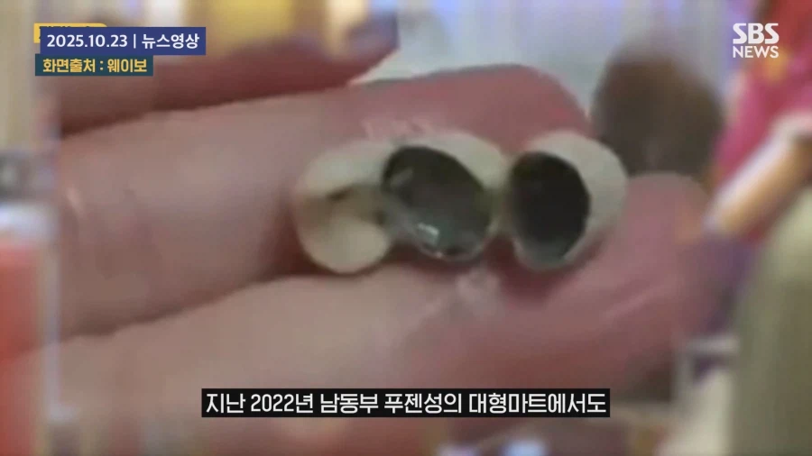 " 음식에 사람 고기를 섞은 것 아니냐 "_26.webp