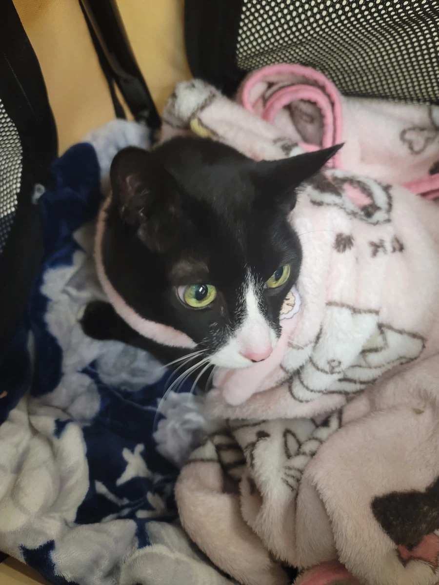 병원 다녀왔음_1.webp