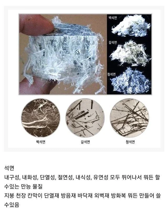 신이 내린 최고의 선물_1.webp