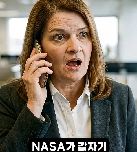 인터넷 경매에서 110만원 주고 산 가방의 정체_15.webp