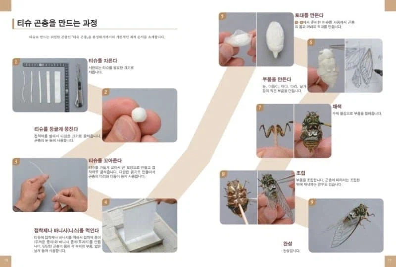 화장지로 만드는 곤충_2.webp