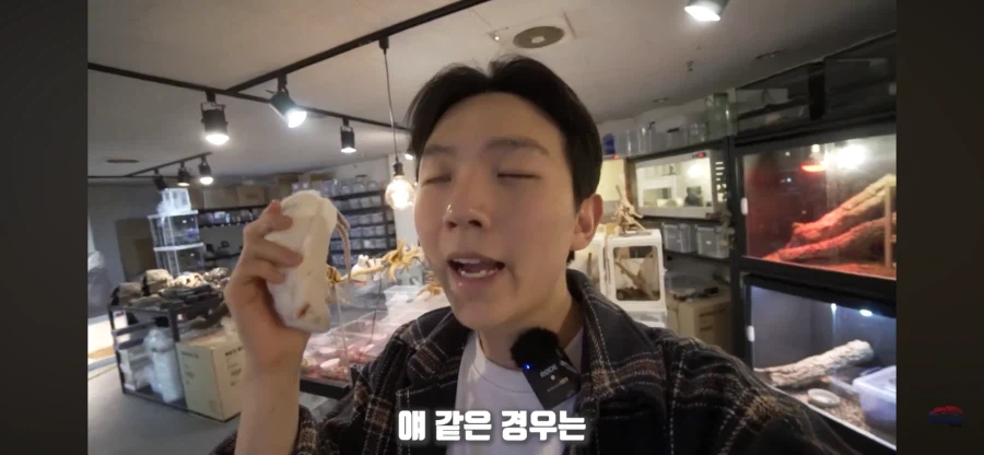 파충류 먹이용 쥐관련 놀라는 부분_5.webp