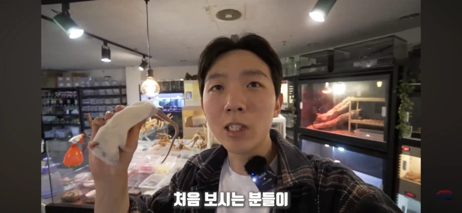 파충류 먹이용 쥐관련 놀라는 부분_7.webp