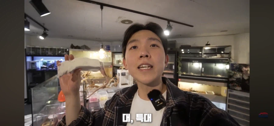 파충류 먹이용 쥐관련 놀라는 부분_13.webp
