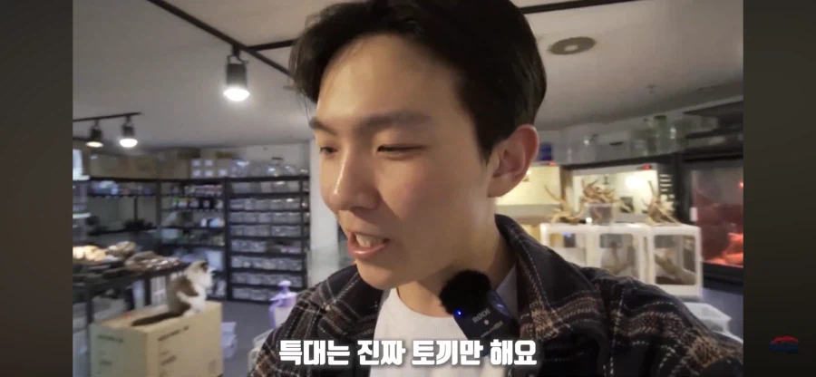 파충류 먹이용 쥐관련 놀라는 부분_14.webp