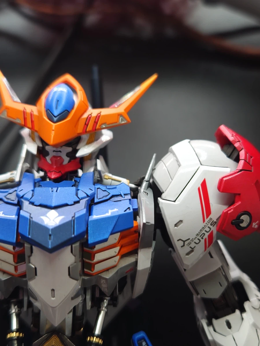 Mg 발바토스 루프스 커스텀 풀도색_7.webp