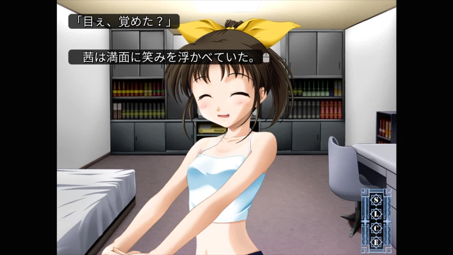 비주얼 노벨 "~스이카~ 월드 에디션" 스팀 상점 등록_10.webp