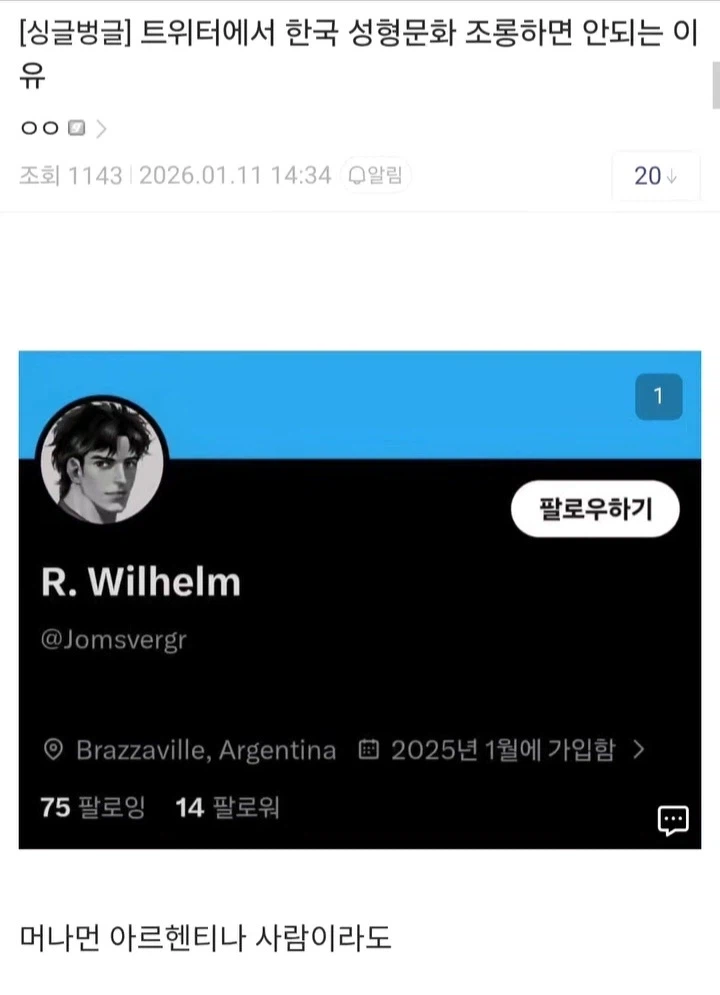 트위터에서 한국 성형문화 조롱하면 안 되는 이유.jpg_1.webp