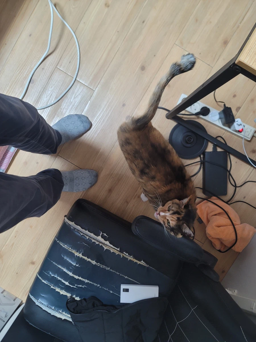 집에 도착했습니다. 애옹이가 반겨줍니다. 씻고 자겠습니다._1.webp