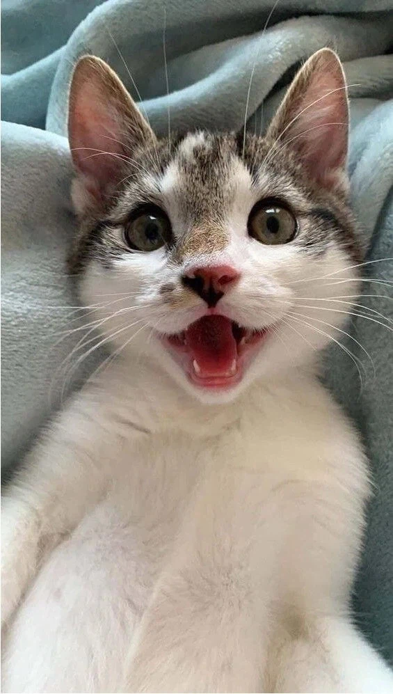 반박불가) 노누 문제 한방에 해결하는 법.tip_1.webp