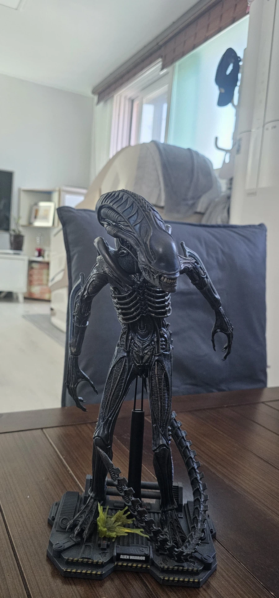 수집한 핫토이 에일리언, 프레데터 들_1.webp