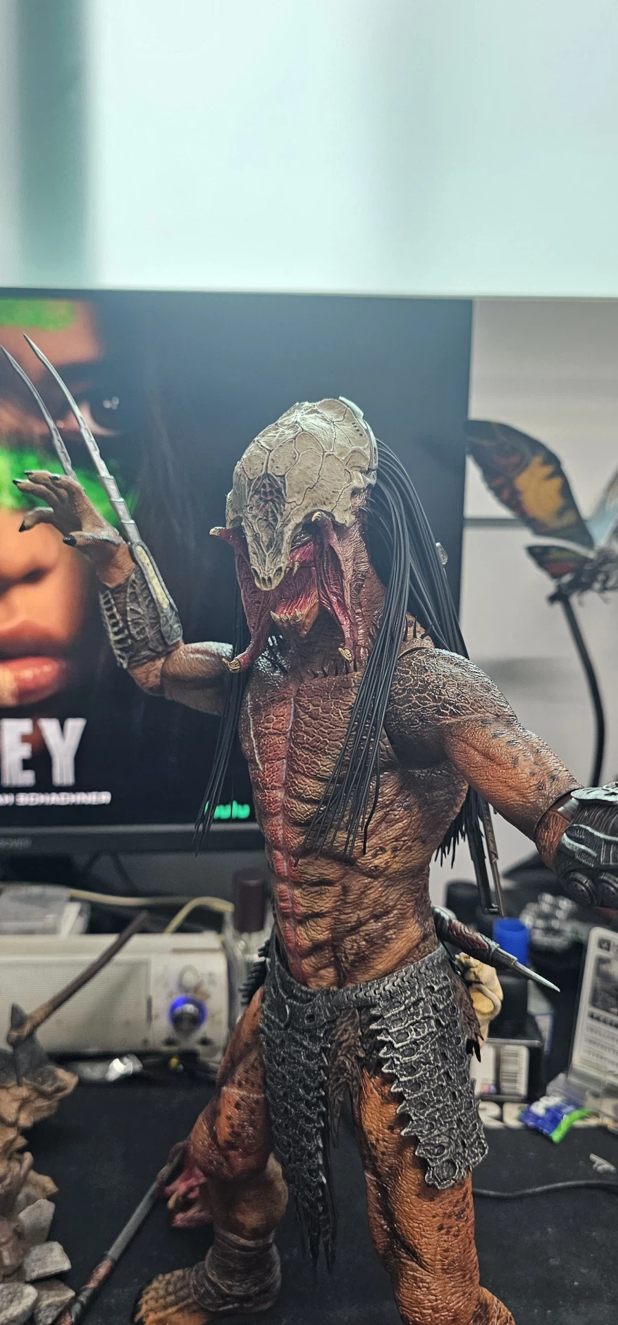 수집한 핫토이 에일리언, 프레데터 들_8.webp