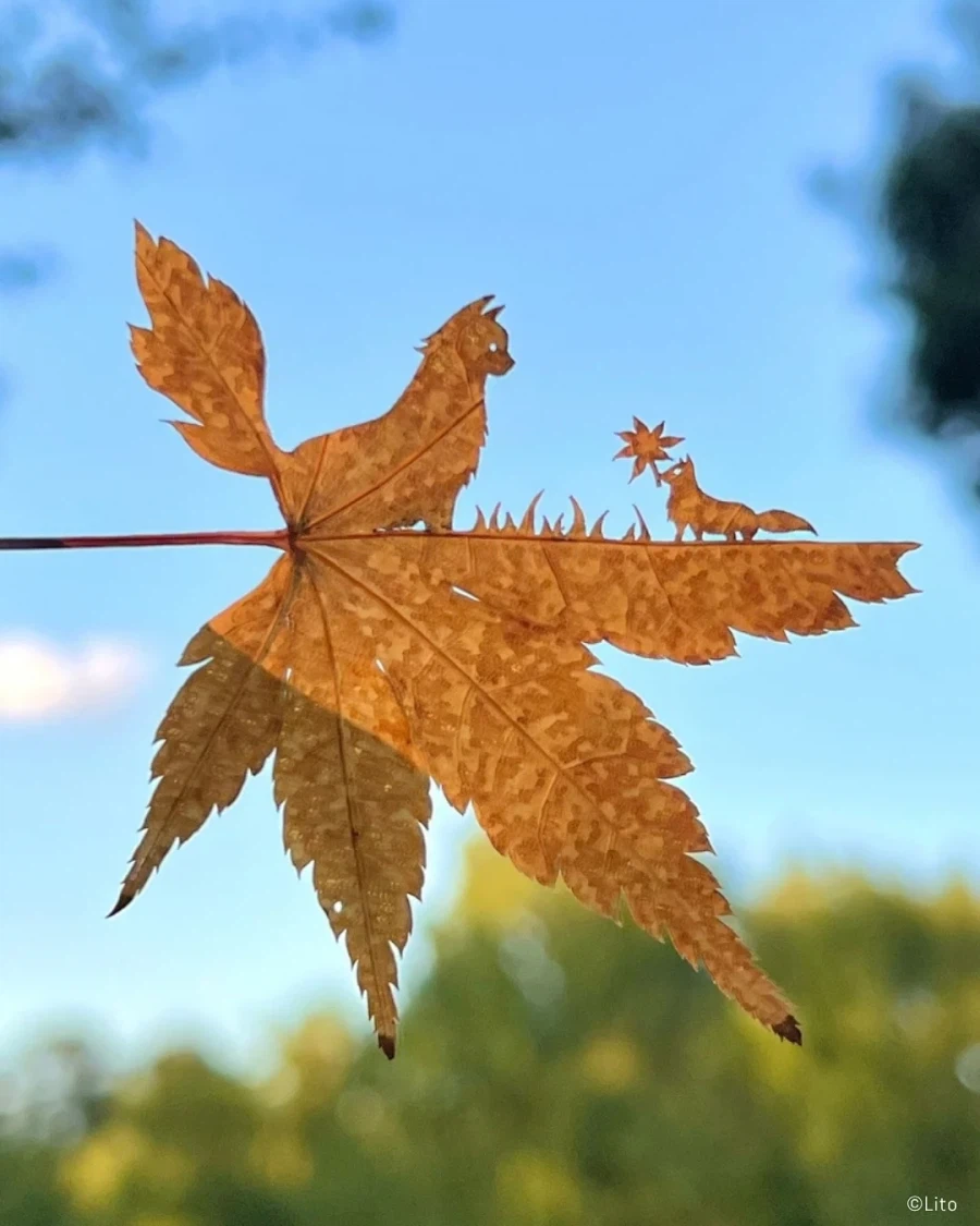 30살에 ADHD 판정 받고 시작한 예술_10.webp