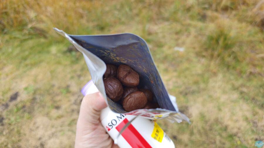 인생 최초로 접근해본 활화산 화구.. 후쿠오카 여행 3일차_109.jpg