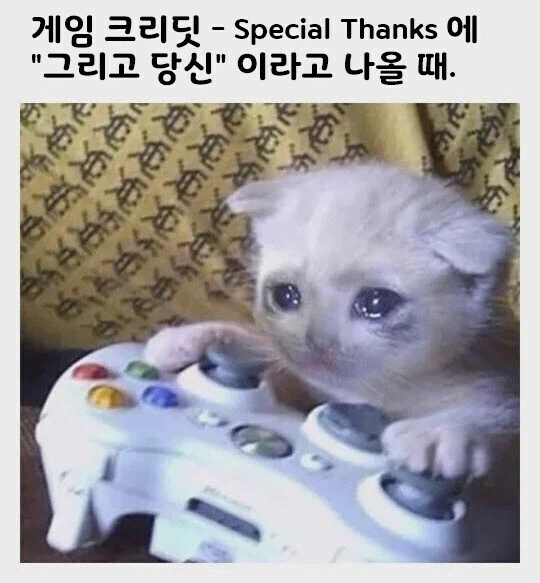 게임 엔딩 크레딧의 감동_1.webp