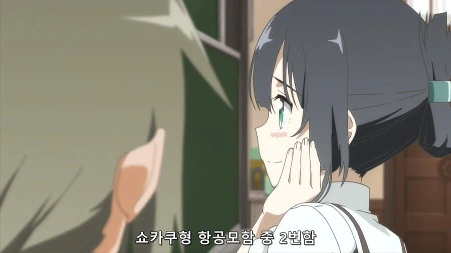 애니 스트리밍 시대로 접어들며 보기 어려워진 것.jpg_4.webp