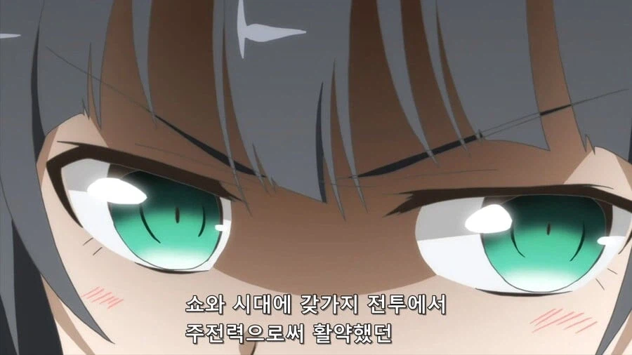 애니 스트리밍 시대로 접어들며 보기 어려워진 것.jpg_7.webp