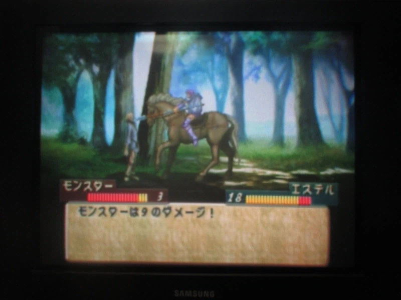 티어링 사가 : 유토나 영웅전기 (5)_21.webp