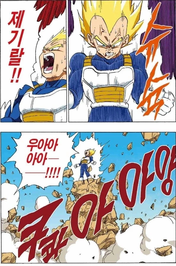 (드래곤볼) 의외로 서양에서는 동기부여로 유명한 베지터_2.webp