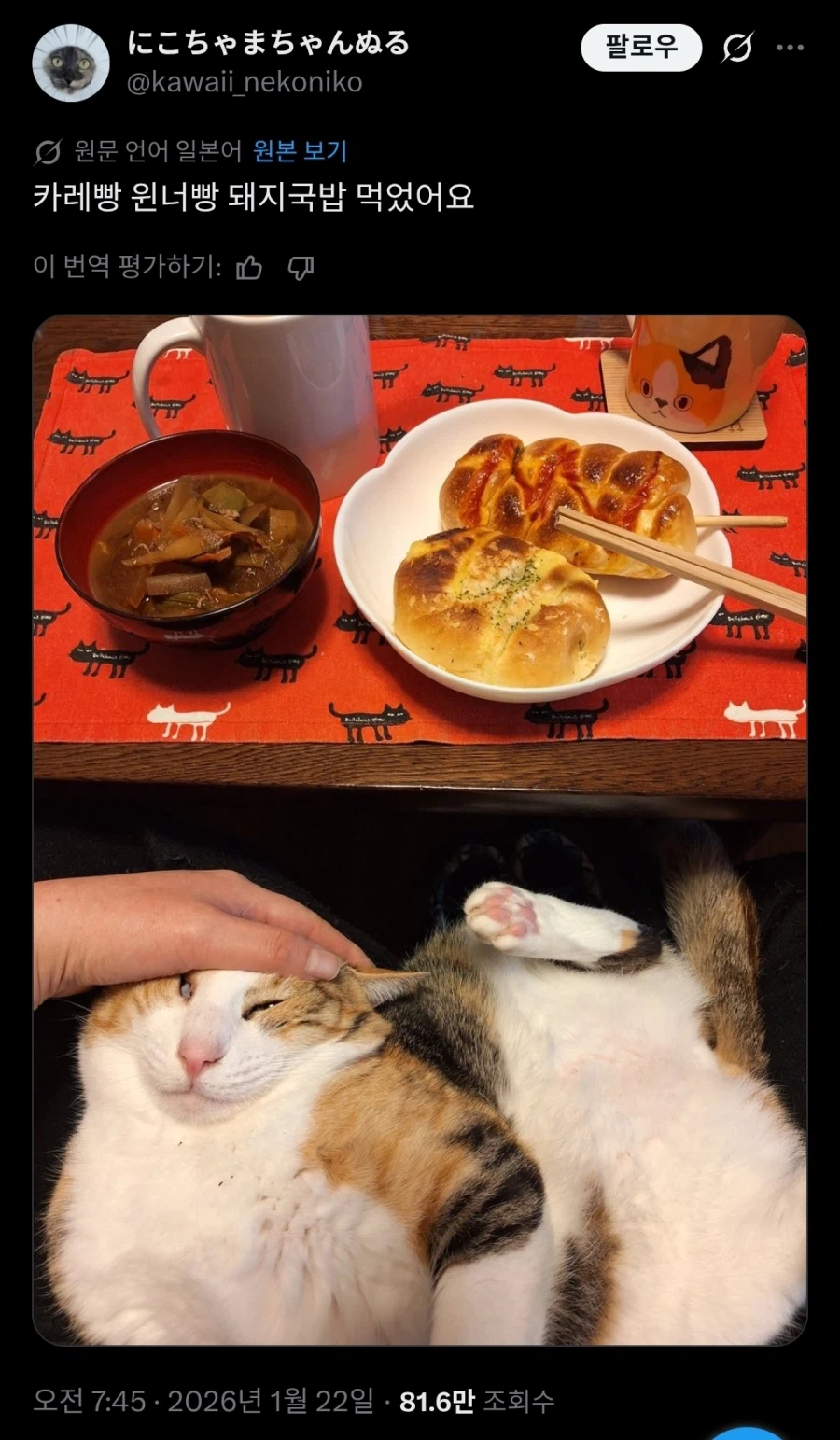 음식 사진인데 음식이 눈에 안들어오는 경우.jpg_1.webp