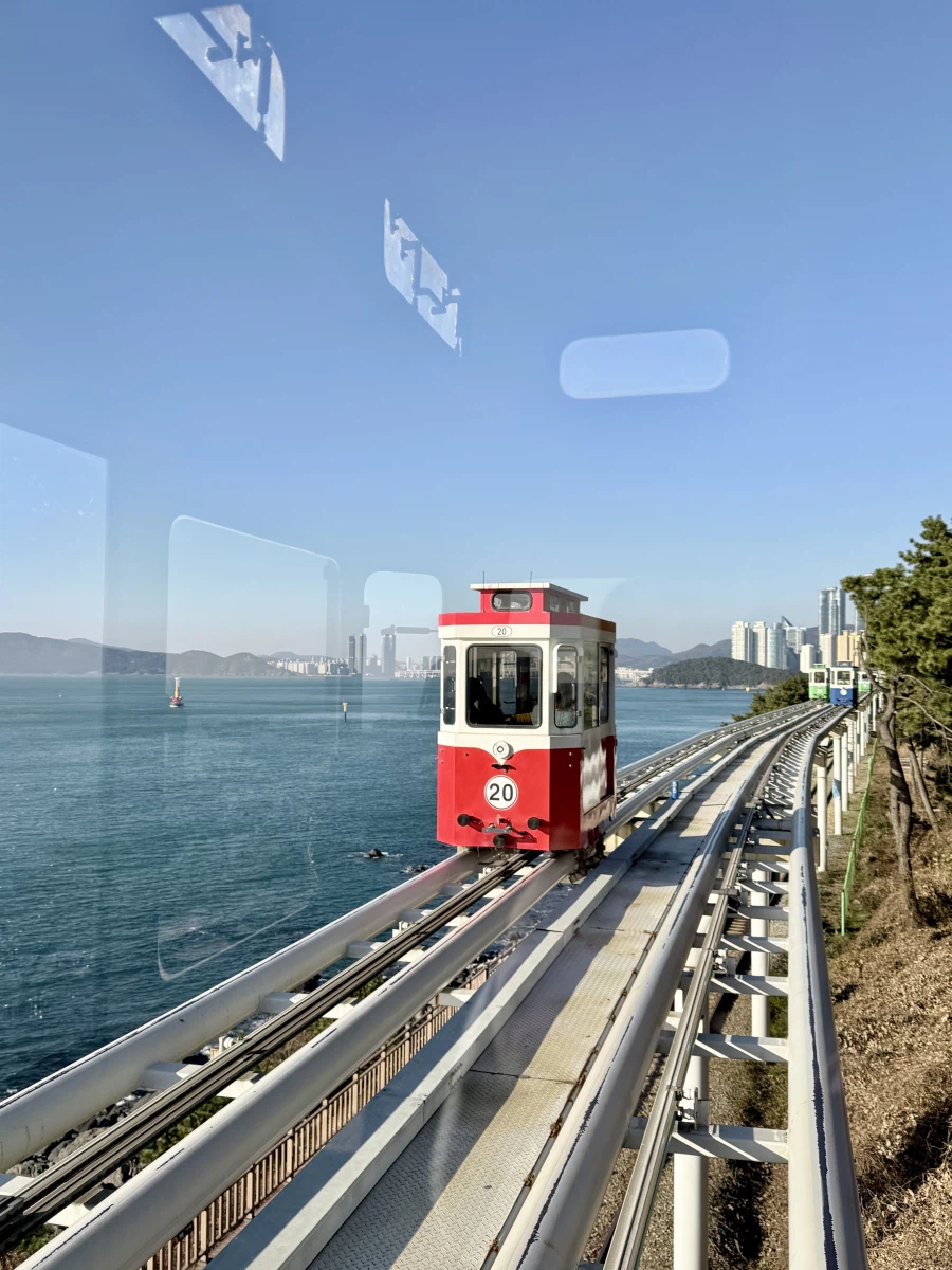 부산 속씨원한 대구탕_6.webp