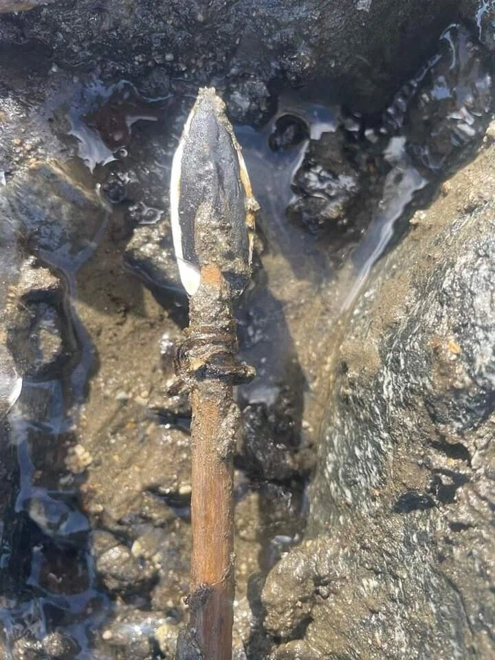 빙하가 녹으며 발견된 3600년 전 고대의 화살_1.webp