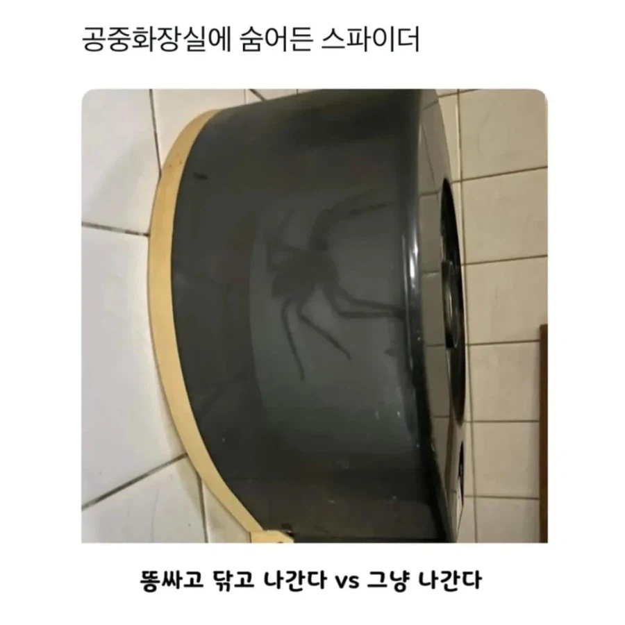 똥싸고 닦고 나간다 vs 그냥 나간다.JPG_1.webp