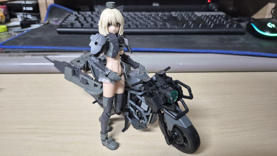 부스트 와일드 바이크+아르티니아_4.webp