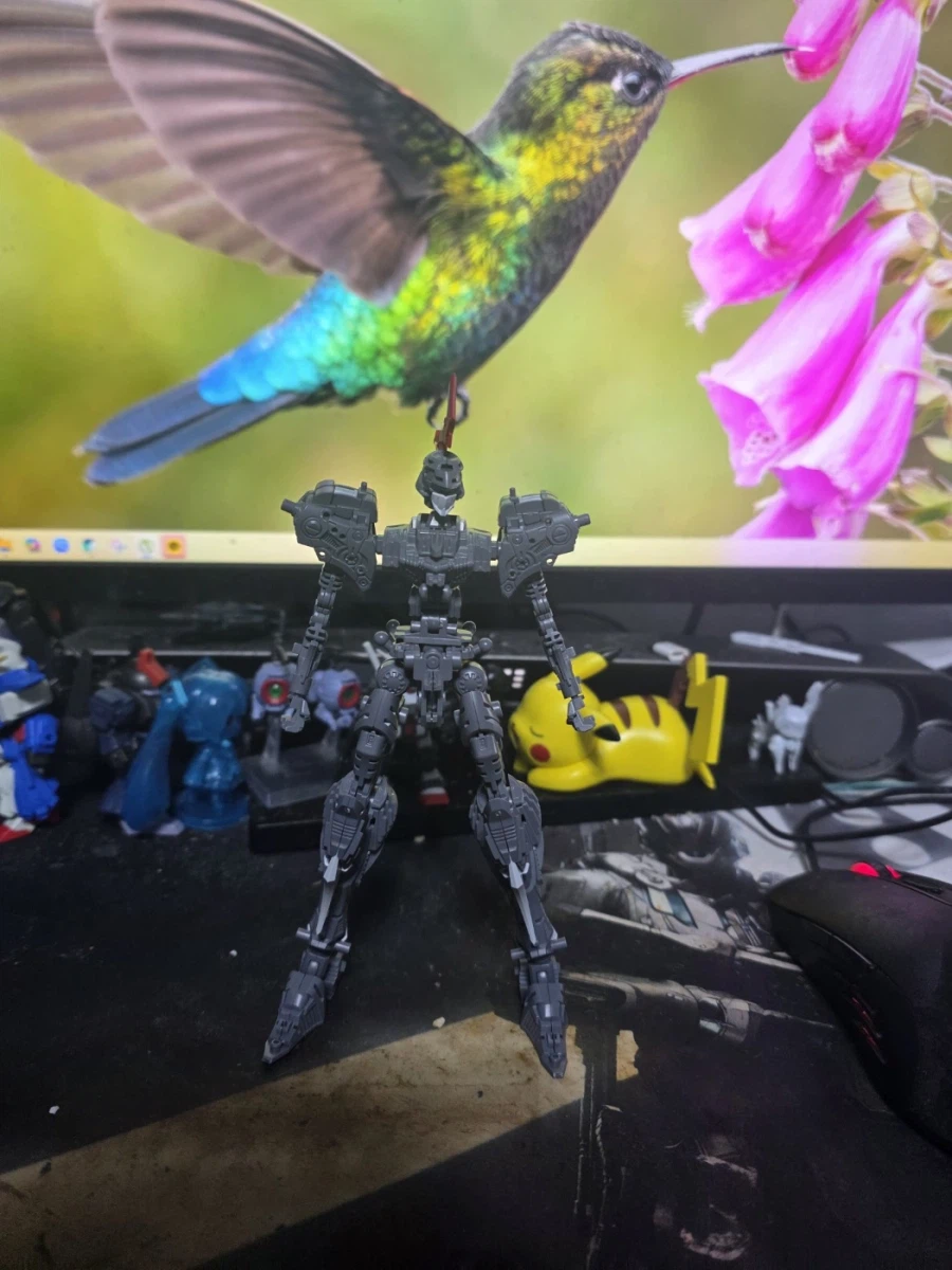 이번주 조립한 킷들입니다._13.webp