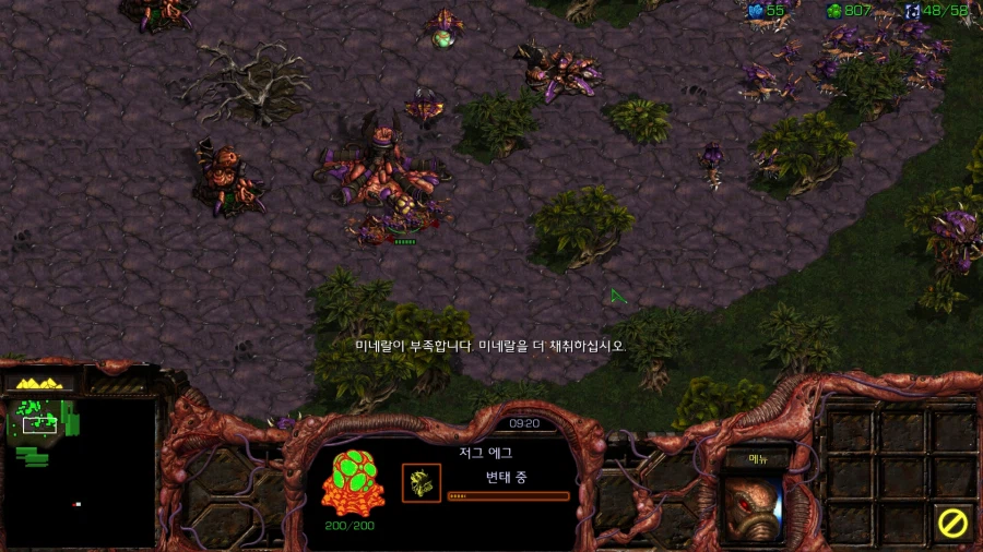 스타1) 저그 아홉번째 미션 특_1.webp