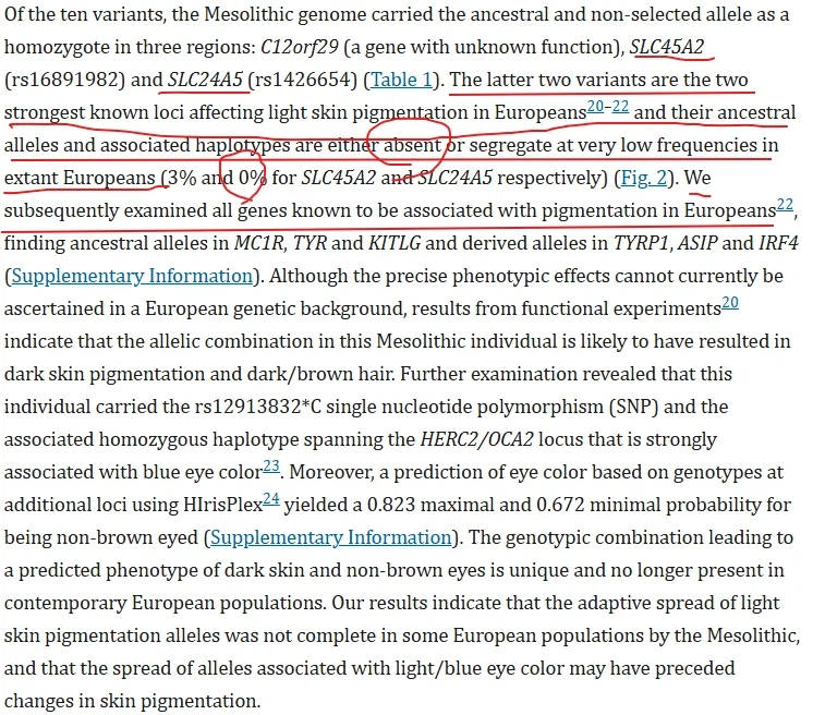 "백인우월자들이 경악할 사실" 베스트 글의 반박의 반박_4.webp