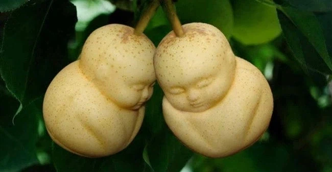 서유기에서 손오공의 불사 레벨_7.webp