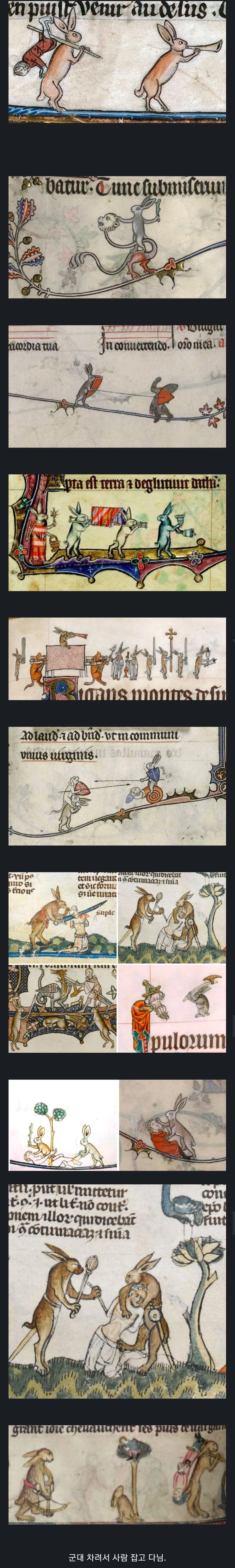 중세 유럽 토끼의 위험성.jpg_2.webp