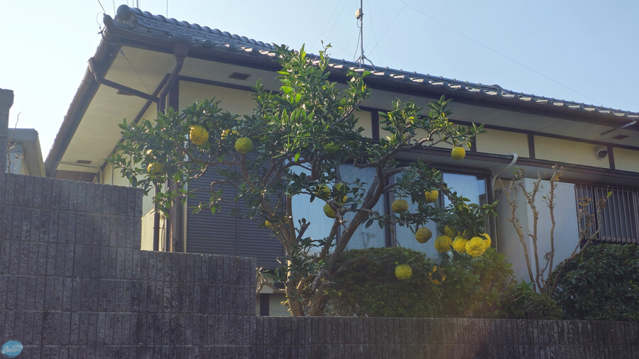 어디서 가본듯한 그 장소들?.. 후쿠오카 4~5일차 (完)_33.jpg