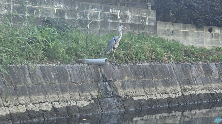 어디서 가본듯한 그 장소들?.. 후쿠오카 4~5일차 (完)_35.jpg