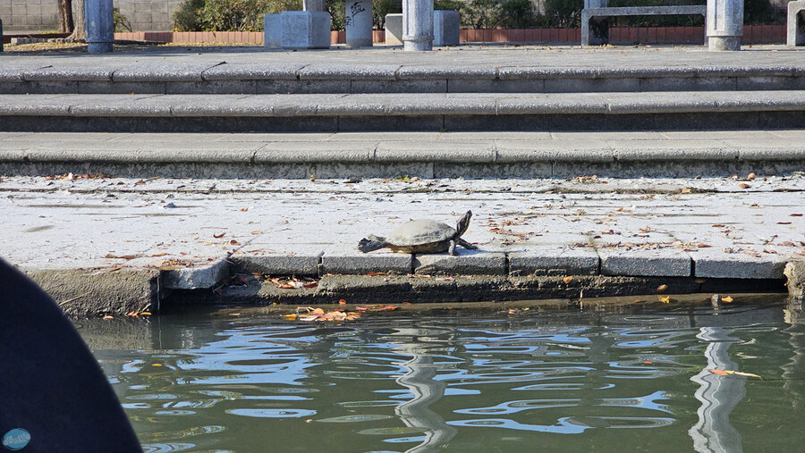 어디서 가본듯한 그 장소들?.. 후쿠오카 4~5일차 (完)_38.jpg