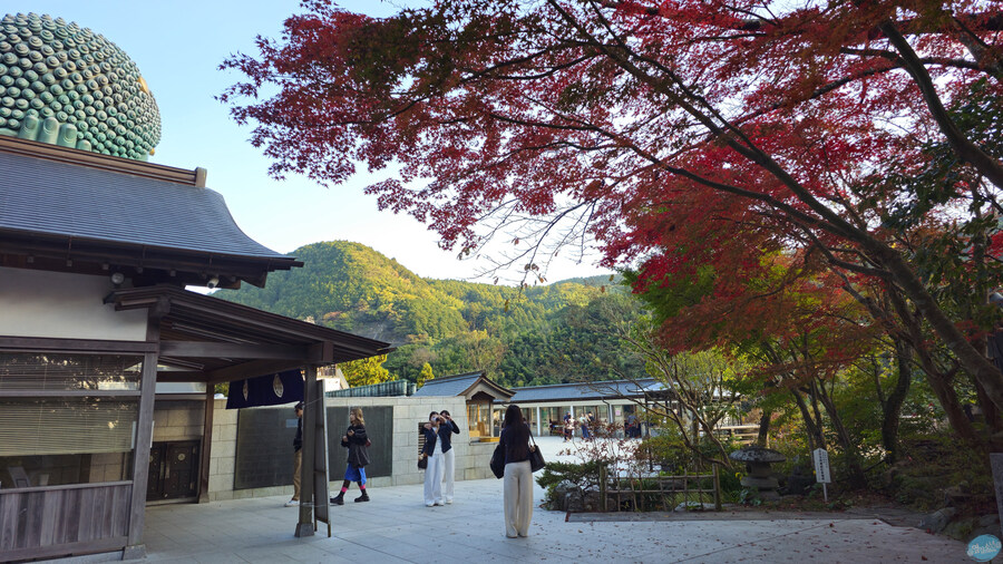 어디서 가본듯한 그 장소들?.. 후쿠오카 4~5일차 (完)_121.jpg