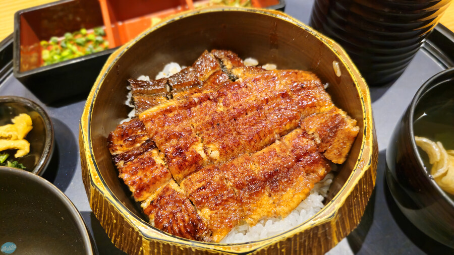 어디서 가본듯한 그 장소들?.. 후쿠오카 4~5일차 (完)_179.jpg