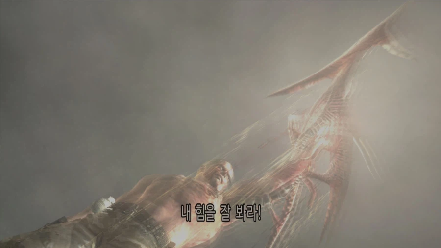 바이오하자드 4_8.webp