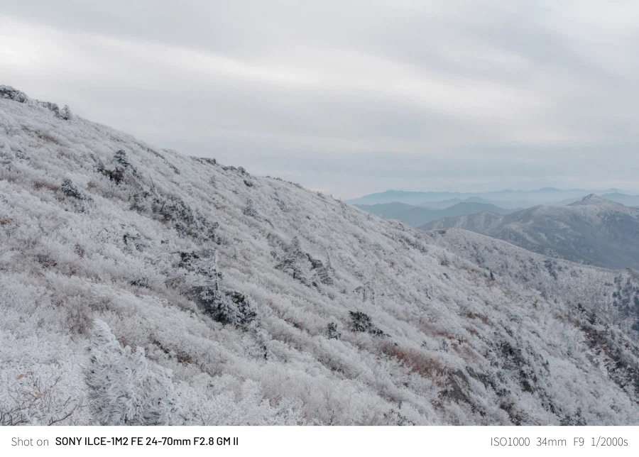 SEL2470GM2 | 24mm에서 70mm까지, 계륵 화각의 매력 - 여행_10.webp