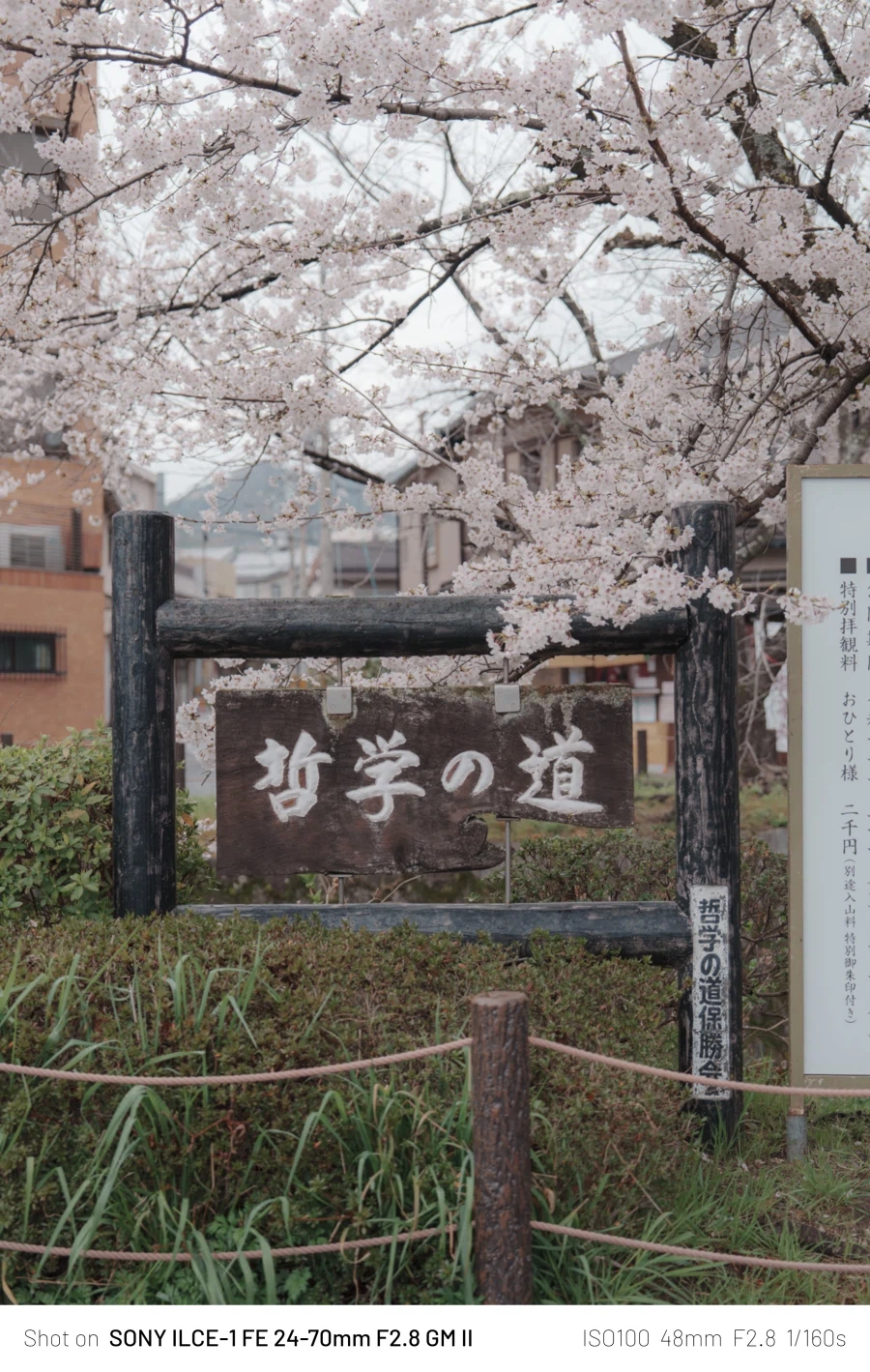 SEL2470GM2 | 24mm에서 70mm까지, 계륵 화각의 매력 - 여행_14.webp