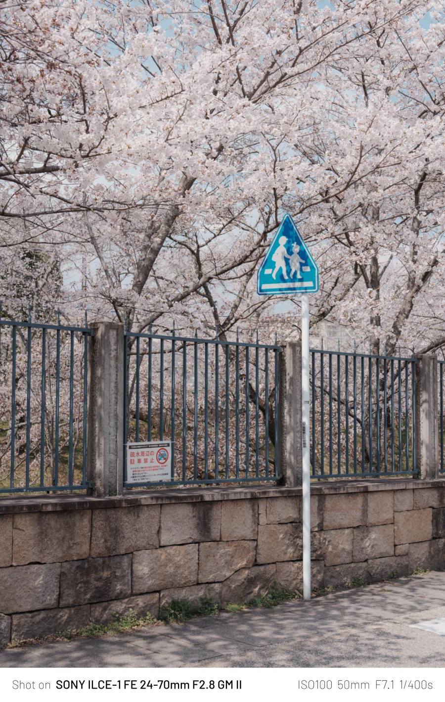 SEL2470GM2 | 24mm에서 70mm까지, 계륵 화각의 매력 - 여행_15.webp