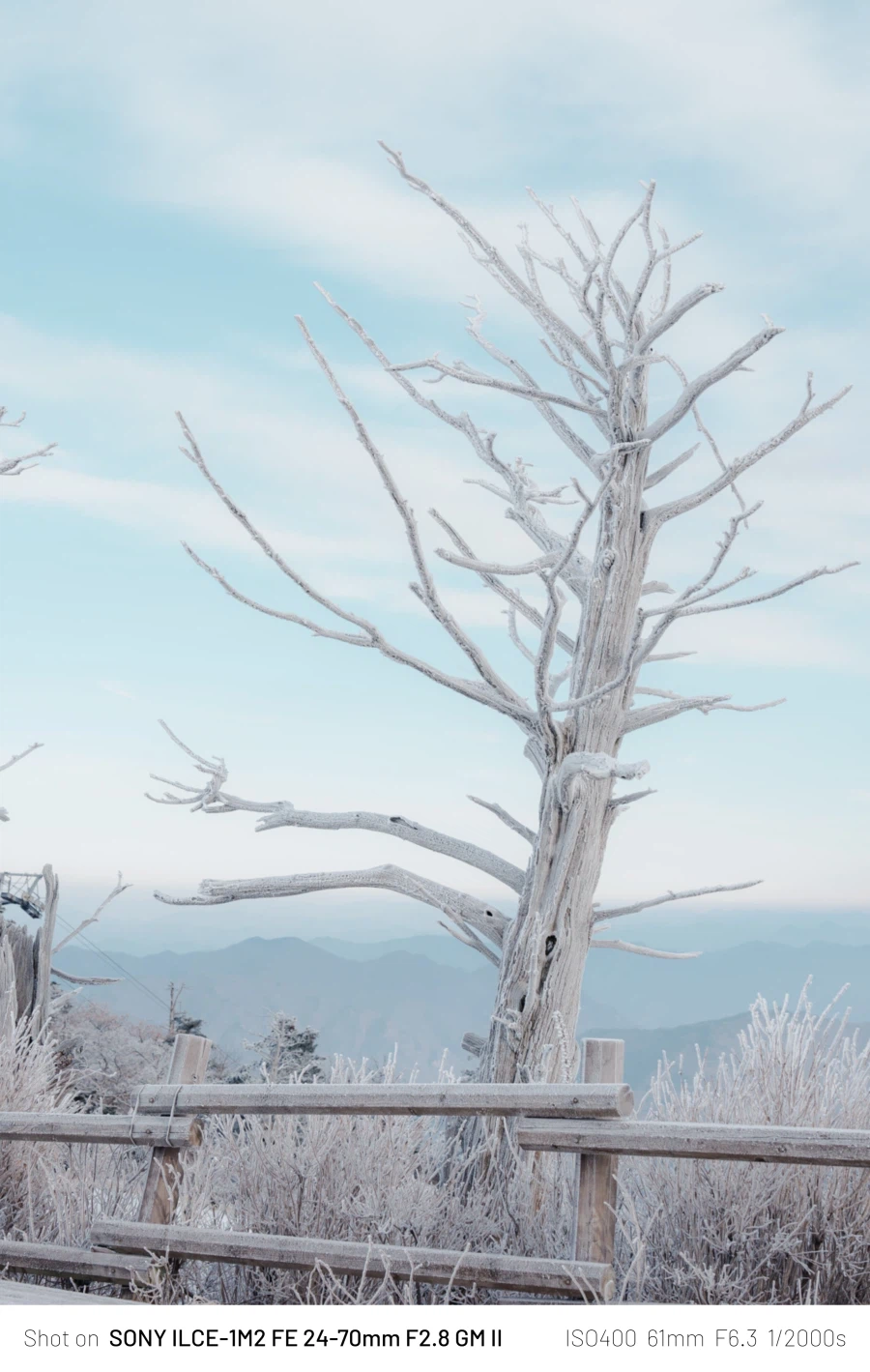 SEL2470GM2 | 24mm에서 70mm까지, 계륵 화각의 매력 - 여행_28.webp