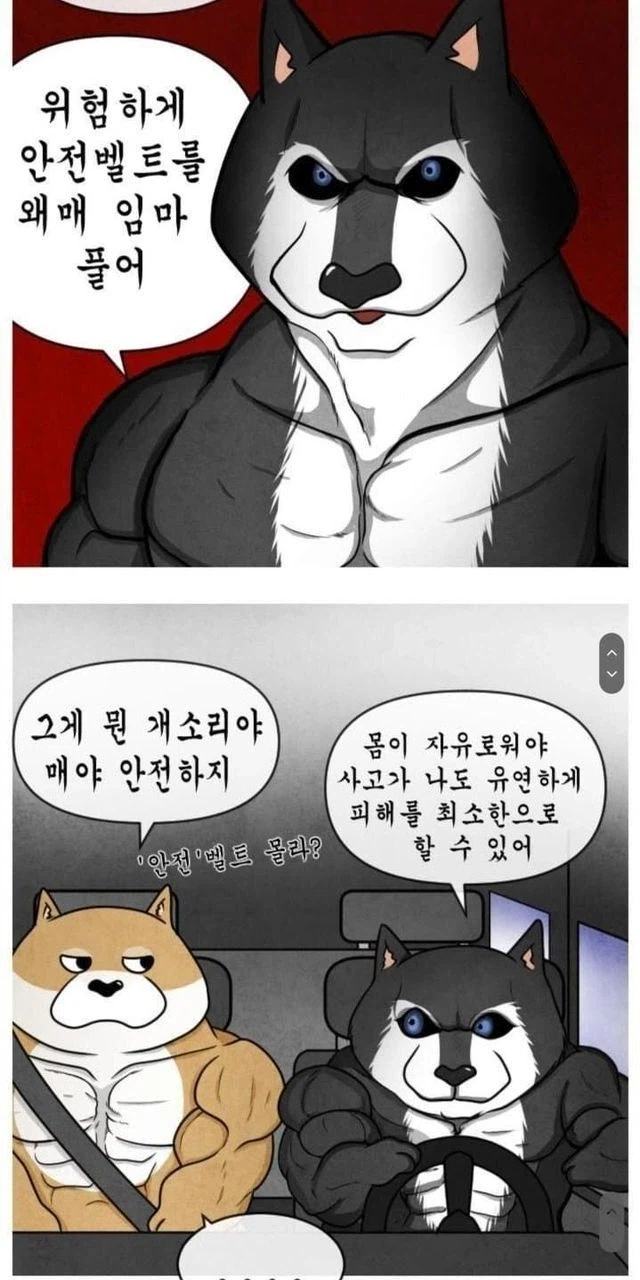 안전벨트는 위험하다_1.webp