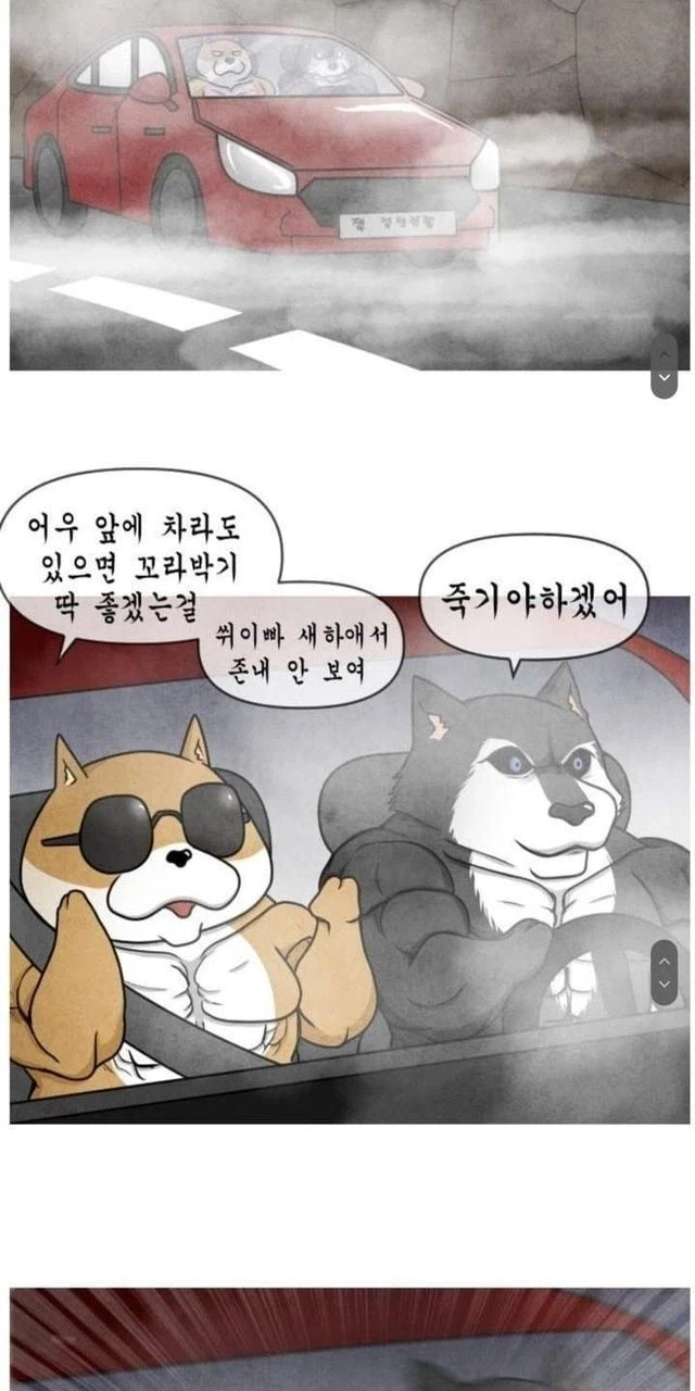 안전벨트는 위험하다_3.webp