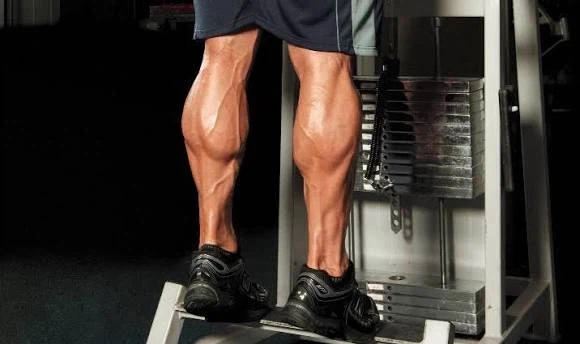 해외 헬창들이 부러워한다는 한국인들 신체부위.jpg_1.webp