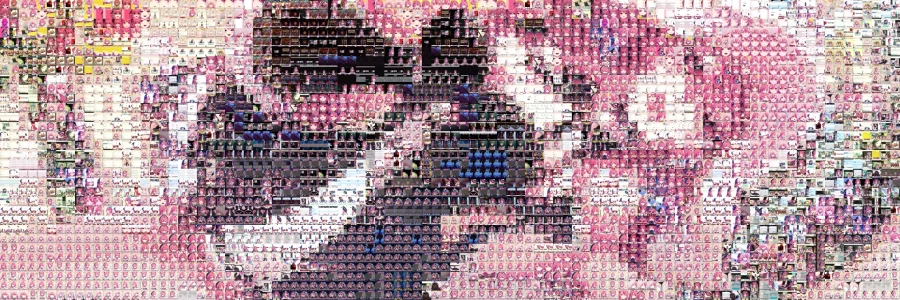 포토모자이크 로제타 만들기_6.webp