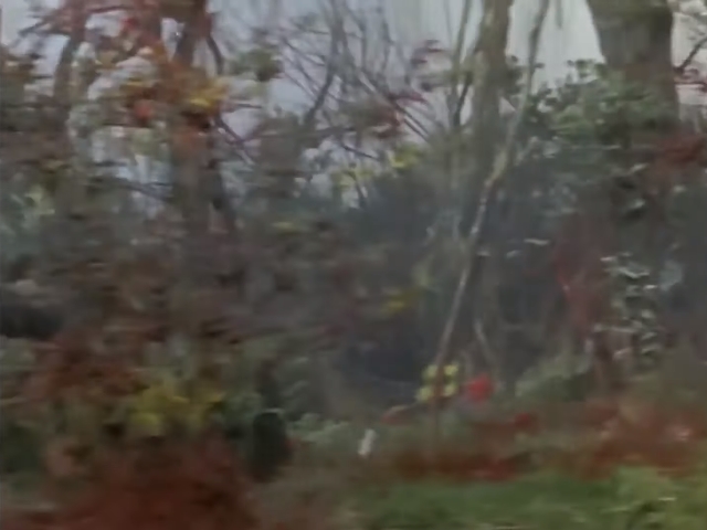 [초대 울트라맨] 괴수들의 삼파전_1.jpg